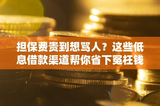 济南担保费贵到想骂人？这些低息借款渠道帮你省下冤枉钱