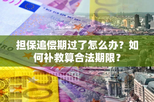 济南担保追偿期过了怎么办？如何补救算合法期限？