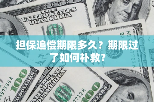 济南担保追偿期限多久？期限过了如何补救？