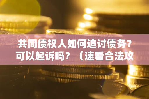 济南共同债权人如何追讨债务？可以起诉吗？（速看合法攻略）