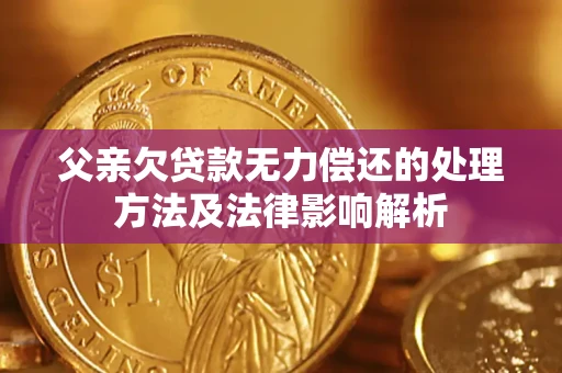 济南父亲欠贷款无力偿还的处理方法及法律影响解析